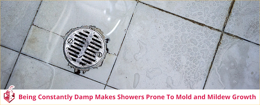 Being Constantly Damp Makes Showers Prone to Mold and Mildew Growth