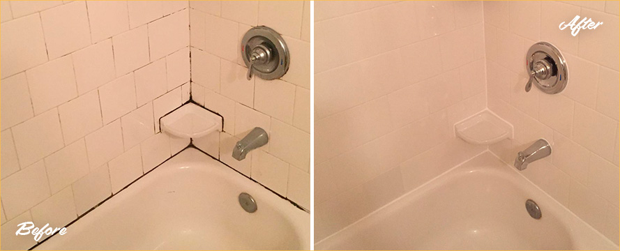 Shower Before and After a Remarkable Grout Cleaning in Prospect Heights, NY
