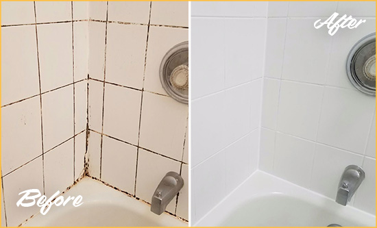 Before and After Picture of a Dyker Heights Shower Tile and Grout Cleaned to Eliminate Mold