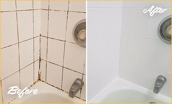 Before and After Picture of a Williamsburg Shower Tile and Grout Cleaned to Eliminate Mold