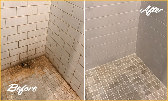 Before and After Picture of a Williamsburg Shower Tile and Grout Cleaned to Eliminate Mold and Stains