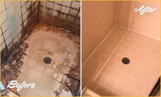 Before and After Picture of a Williamsburg Shower Tile and Grout Cleaned to Repair Water Damage