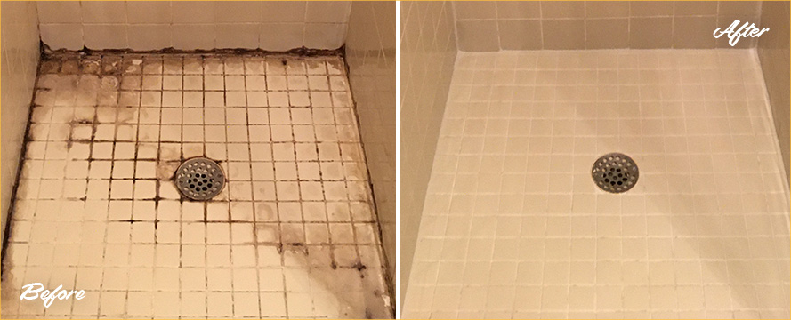 Shower Beautifully Restored by Our Tile and Grout Cleaners in Bay Ridge, NY