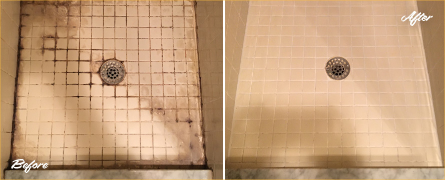 Shower Expertly Restored by Our Tile and Grout Cleaners in Bay Ridge, NY